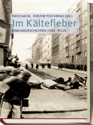 cover image of Im Kältefieber